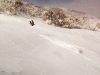 will-hotham-backyard-backy copy